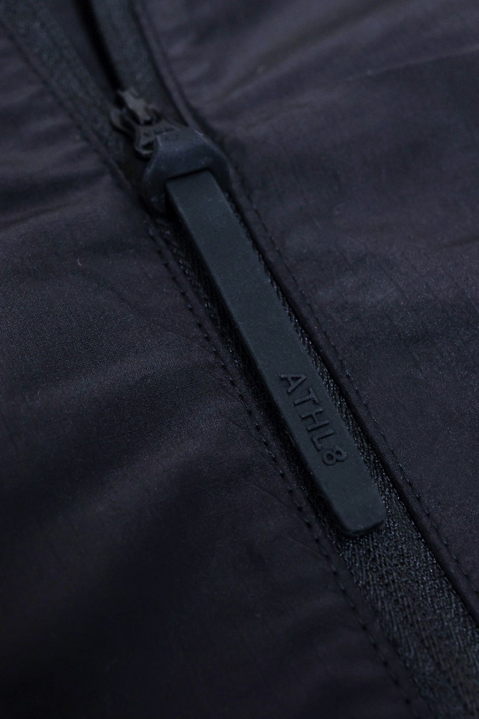 Details ATLH8 1009.JPG